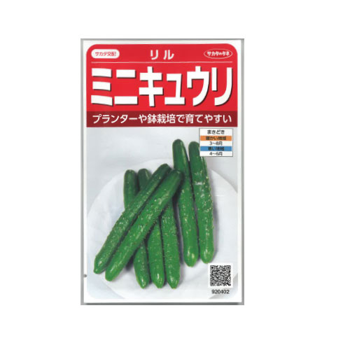 サカタのタネ リル ミニキュウリ