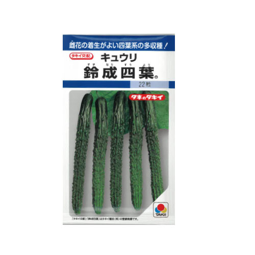 タキイ種苗 鈴成四葉 キュウリ