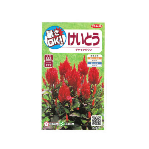 ケイトウ チャイナタウン