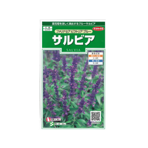 サルビア ファリナセアビクトリアブルー