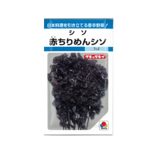 赤ちりめんしそ