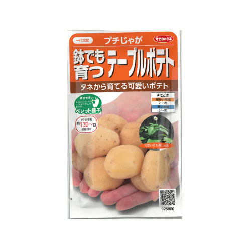 サカタのタネ プチじゃが ジャガイモ