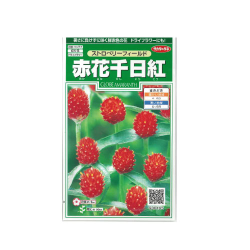 千日紅 ストロベリーフィールズ