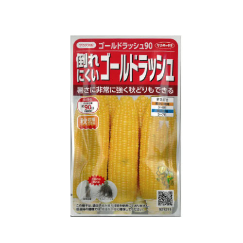 サカタのタネ ゴールドラッシュ90 トウモロコシ