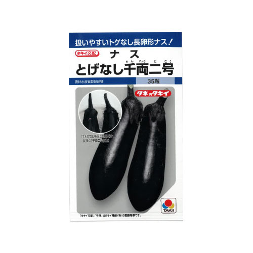 タキイ種苗 とげなし千両二号 ナス