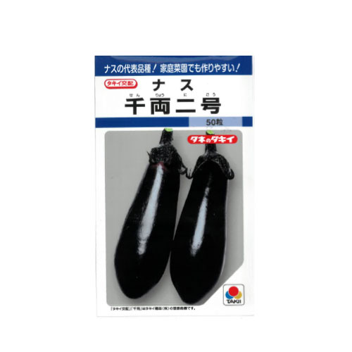 タキイ種苗 千両二号 ナス
