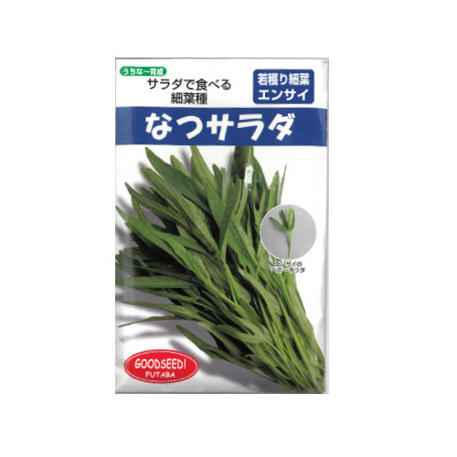 フタバ種苗 なつサラダ ホワイト エンサイ