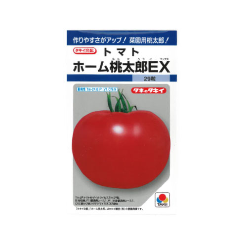 タキイ種苗 ホーム桃太郎EX 大玉トマト